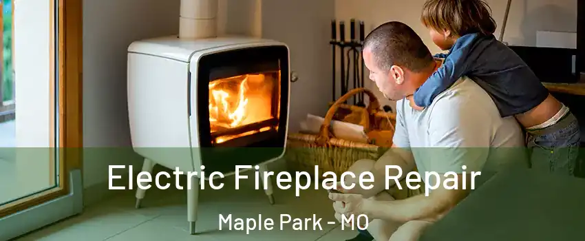 Electric Fireplace Repair Maple Park - MO