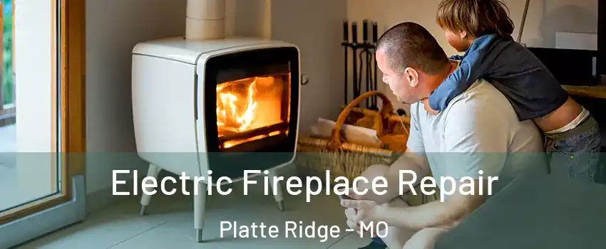 Electric Fireplace Repair Platte Ridge - MO