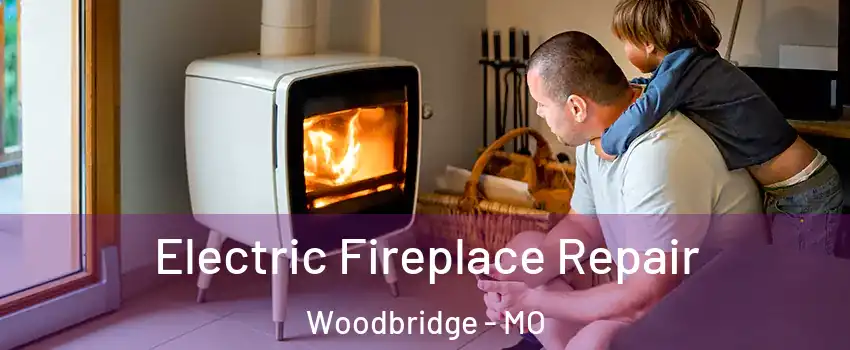 Electric Fireplace Repair Woodbridge - MO