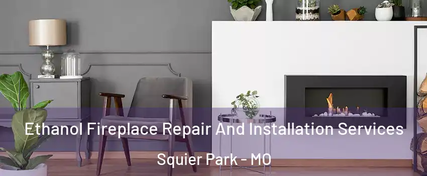 Ethanol Fireplace Repair And Installation Services Squier Park - MO