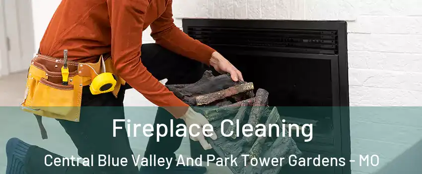 Fireplace Cleaning Central Blue Valley And Park Tower Gardens - MO