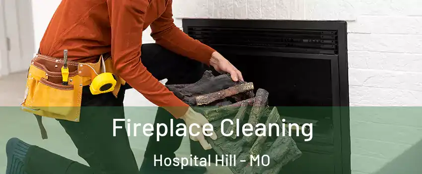 Fireplace Cleaning Hospital Hill - MO