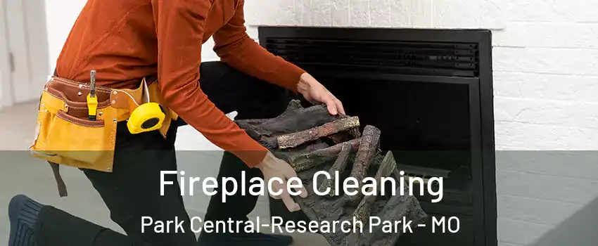 Fireplace Cleaning Park Central-Research Park - MO