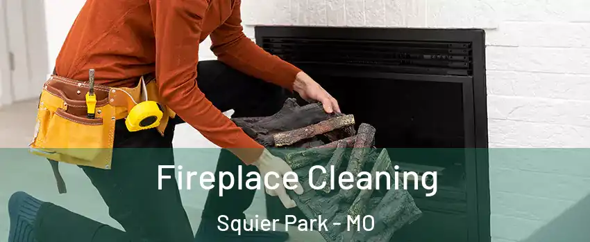 Fireplace Cleaning Squier Park - MO