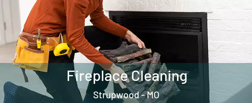 Fireplace Cleaning Strupwood - MO