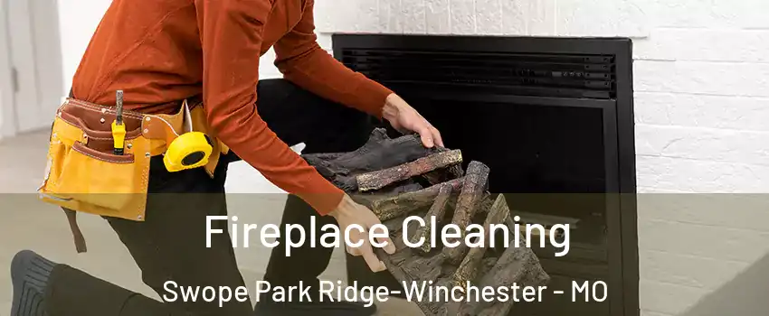 Fireplace Cleaning Swope Park Ridge-Winchester - MO