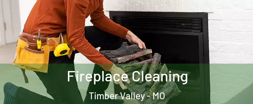 Fireplace Cleaning Timber Valley - MO