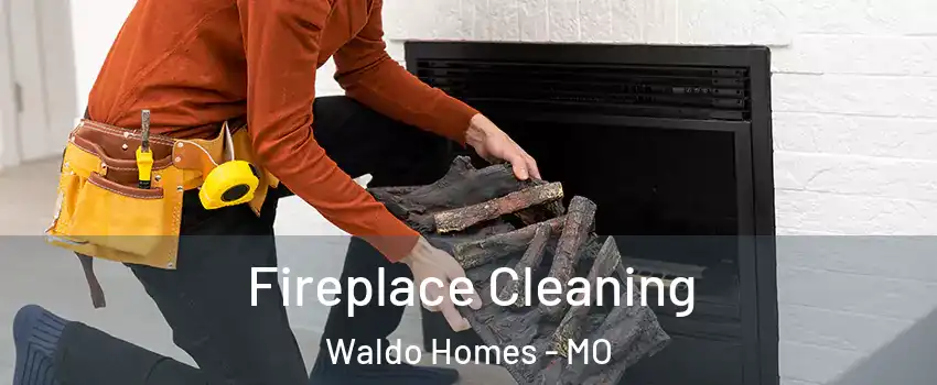 Fireplace Cleaning Waldo Homes - MO