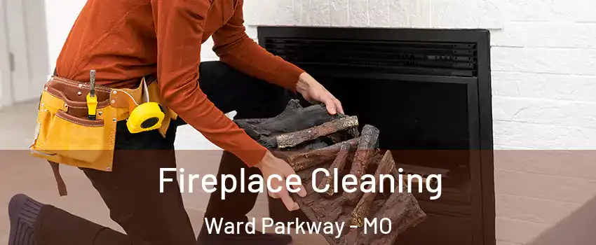 Fireplace Cleaning Ward Parkway - MO