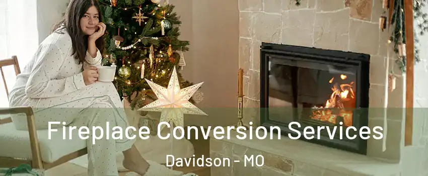 Fireplace Conversion Services Davidson - MO