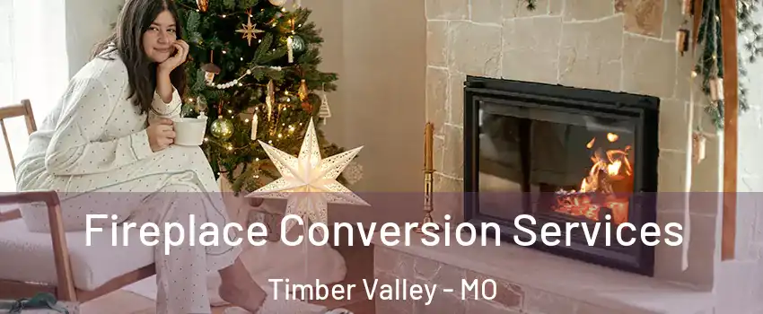 Fireplace Conversion Services Timber Valley - MO