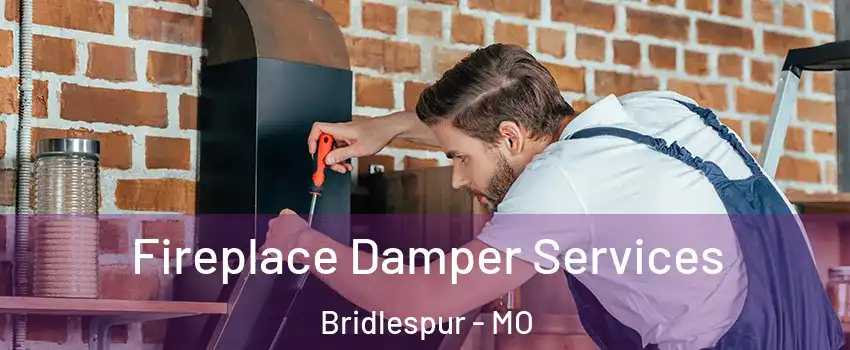 Fireplace Damper Services Bridlespur - MO