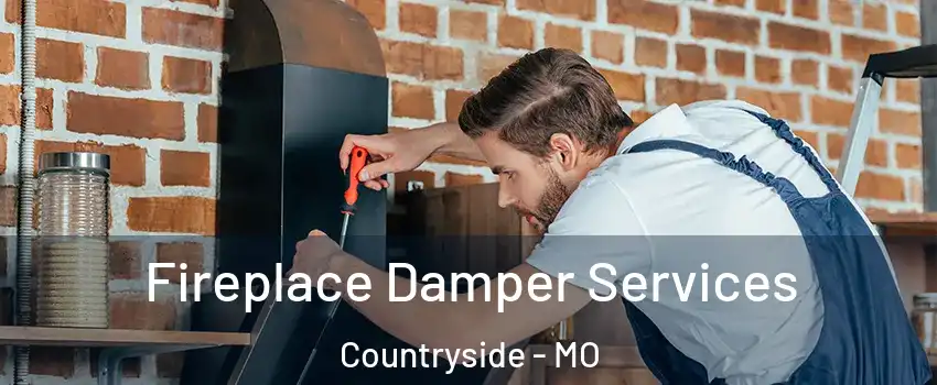Fireplace Damper Services Countryside - MO