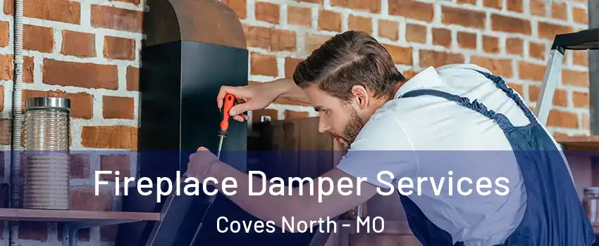 Fireplace Damper Services Coves North - MO