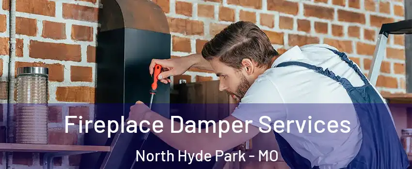 Fireplace Damper Services North Hyde Park - MO