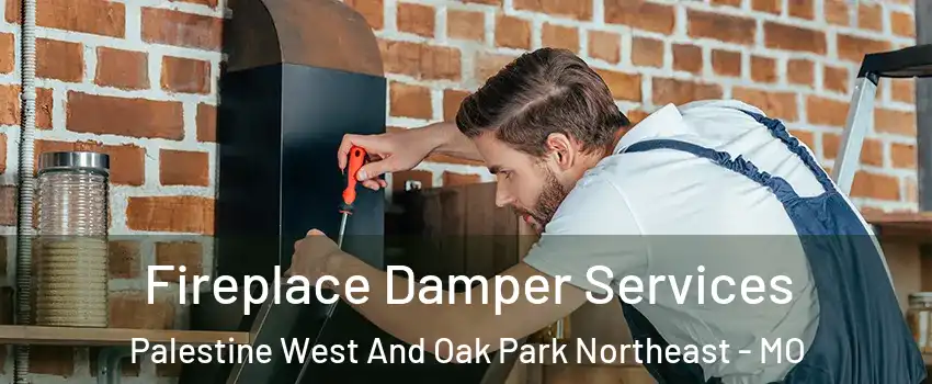 Fireplace Damper Services Palestine West And Oak Park Northeast - MO