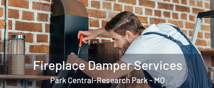 Fireplace Damper Services Park Central-Research Park - MO