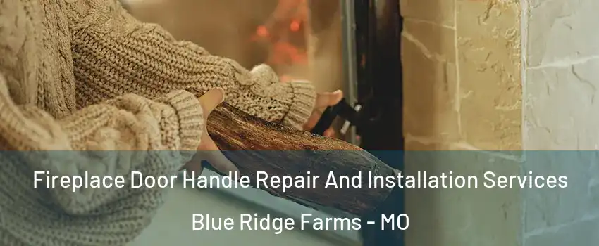 Fireplace Door Handle Repair And Installation Services Blue Ridge Farms - MO