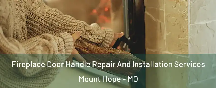 Fireplace Door Handle Repair And Installation Services Mount Hope - MO