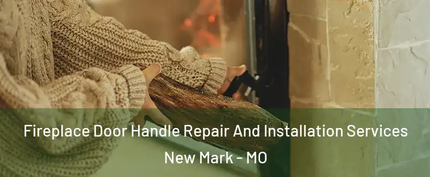 Fireplace Door Handle Repair And Installation Services New Mark - MO