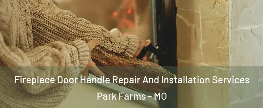 Fireplace Door Handle Repair And Installation Services Park Farms - MO