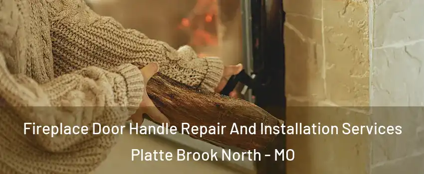 Fireplace Door Handle Repair And Installation Services Platte Brook North - MO