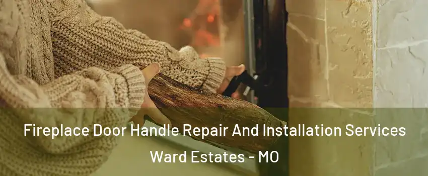 Fireplace Door Handle Repair And Installation Services Ward Estates - MO