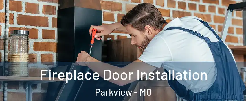 Fireplace Door Installation Parkview - MO