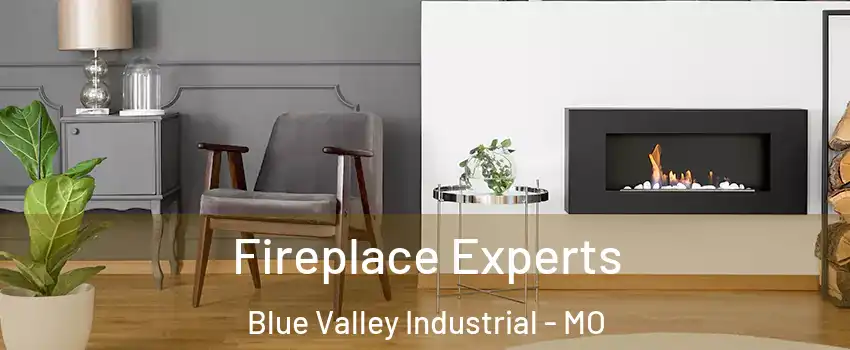 Fireplace Experts Blue Valley Industrial - MO