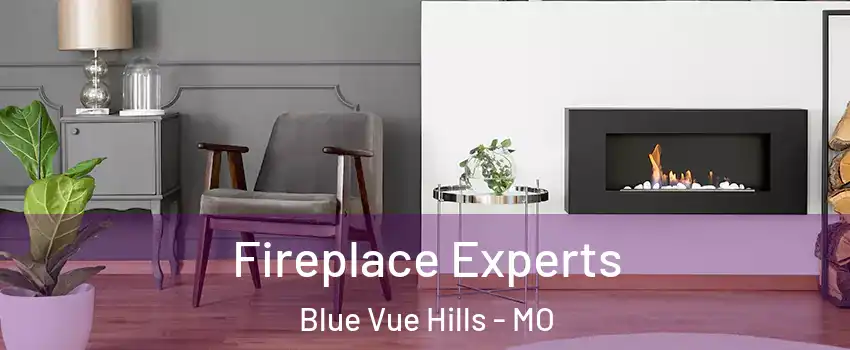 Fireplace Experts Blue Vue Hills - MO