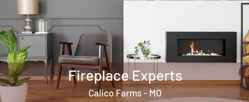 Fireplace Experts Calico Farms - MO