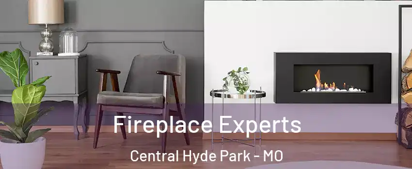 Fireplace Experts Central Hyde Park - MO