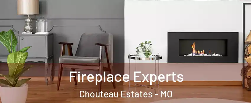 Fireplace Experts Chouteau Estates - MO