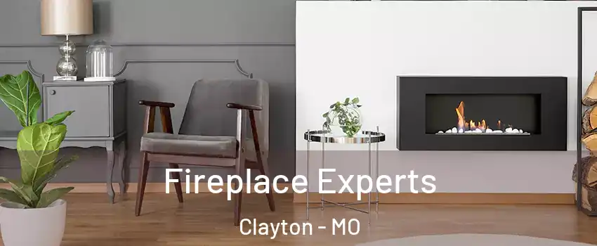 Fireplace Experts Clayton - MO
