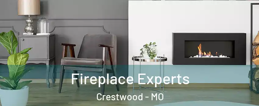 Fireplace Experts Crestwood - MO
