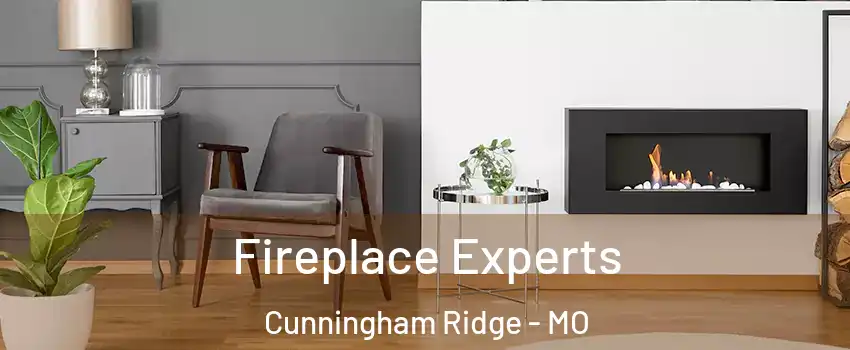 Fireplace Experts Cunningham Ridge - MO