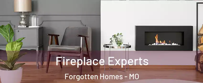 Fireplace Experts Forgotten Homes - MO