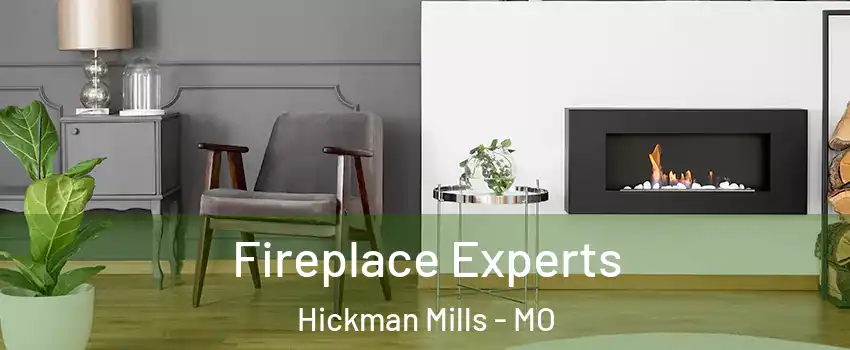 Fireplace Experts Hickman Mills - MO