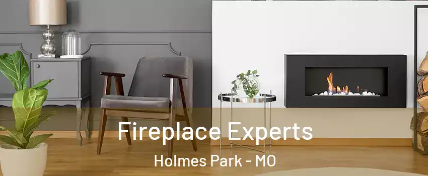 Fireplace Experts Holmes Park - MO