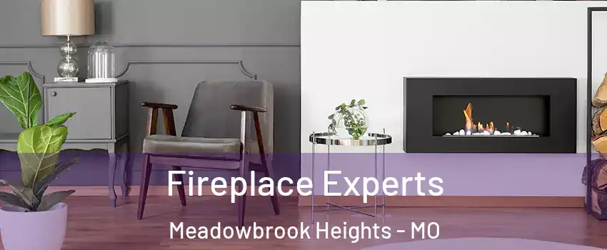 Fireplace Experts Meadowbrook Heights - MO