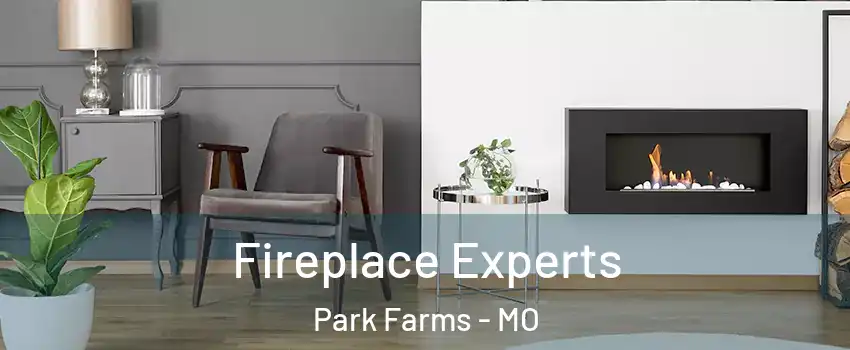 Fireplace Experts Park Farms - MO