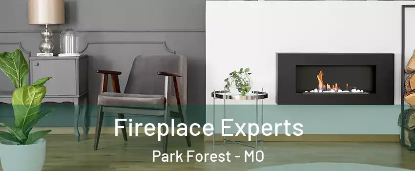 Fireplace Experts Park Forest - MO