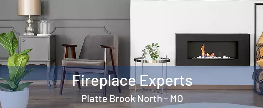 Fireplace Experts Platte Brook North - MO