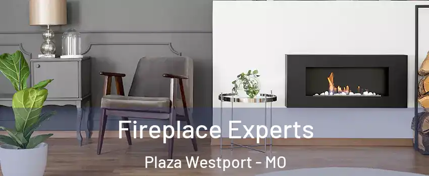 Fireplace Experts Plaza Westport - MO
