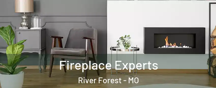 Fireplace Experts River Forest - MO