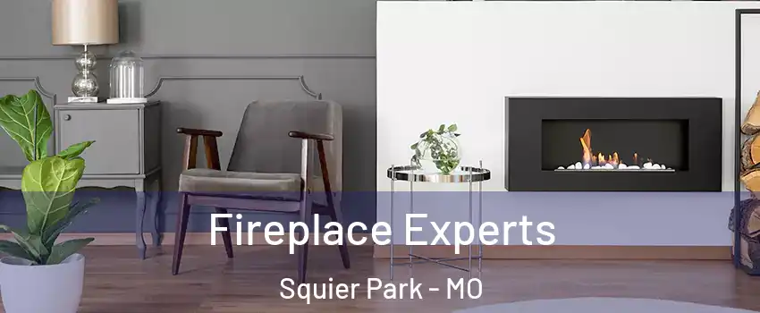 Fireplace Experts Squier Park - MO