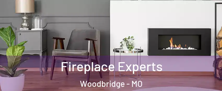Fireplace Experts Woodbridge - MO
