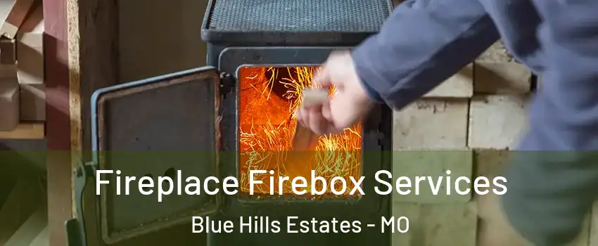 Fireplace Firebox Services Blue Hills Estates - MO