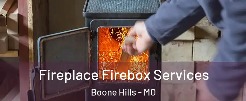Fireplace Firebox Services Boone Hills - MO