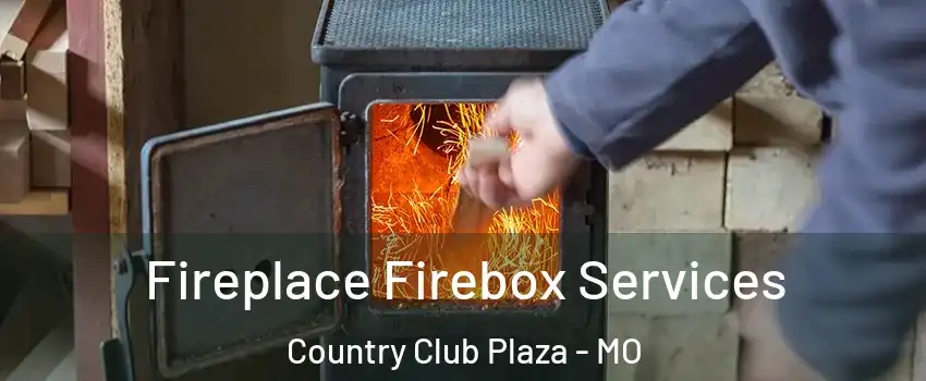 Fireplace Firebox Services Country Club Plaza - MO